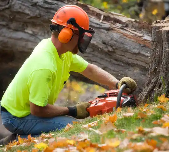 tree services Fairbury